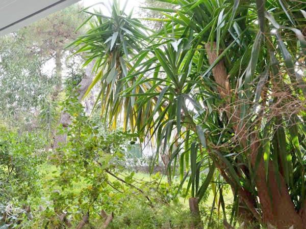 Appartamento Vouliagmeni'S Secret Garden Near The Sea Atene Esterno foto