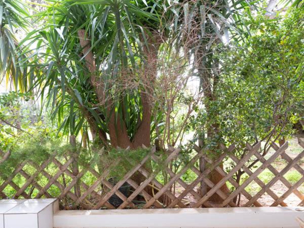Appartamento Vouliagmeni'S Secret Garden Near The Sea Atene Esterno foto
